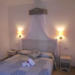 Tabby Hotel