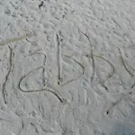 Tabby 3*