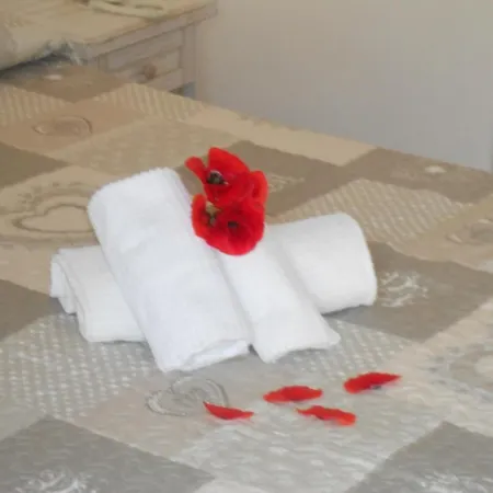 Tabby גולפו אראנצ'י