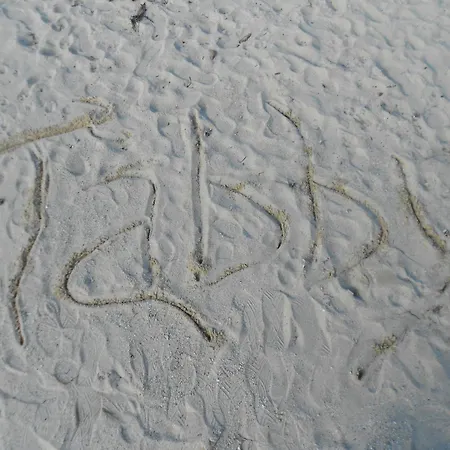 Tabby 3*