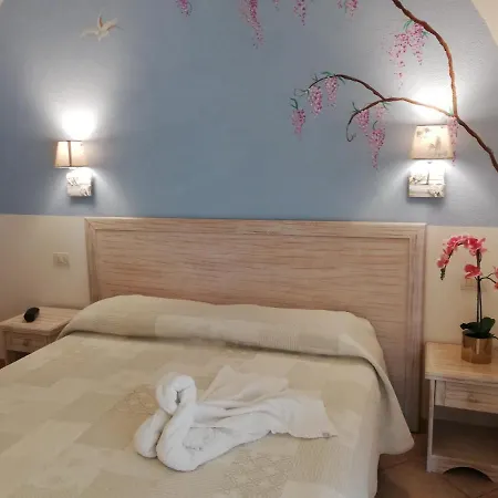 Tabby גולפו אראנצ'י
