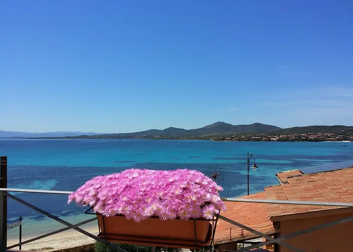 Tabby 3* Golfo Aranci