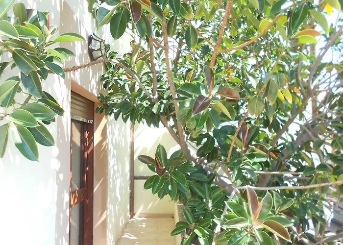 Hotell Tabby Golfo Aranci