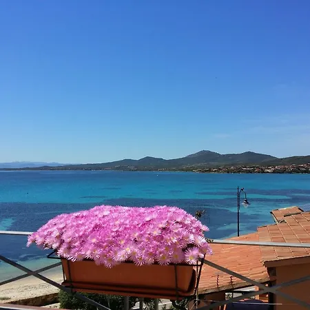 Tabby 3* Golfo Aranci