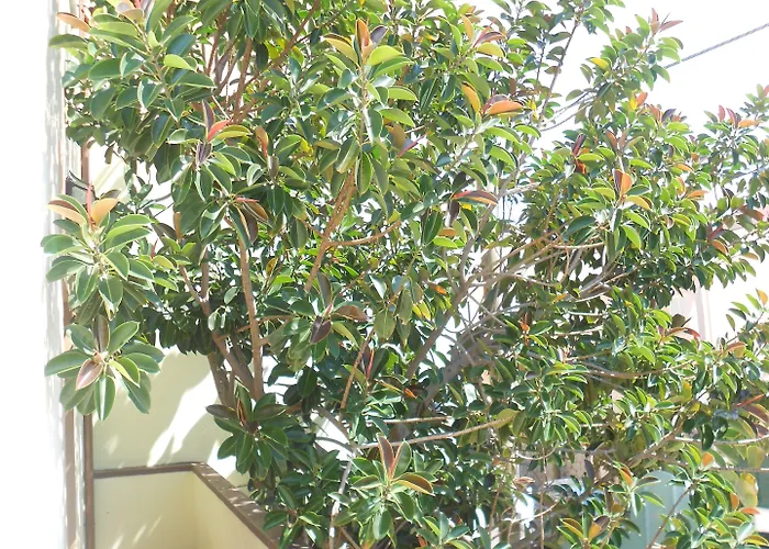 Tabby Hotel Golfo Aranci